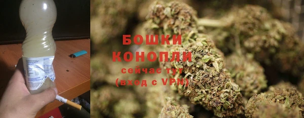 мдпв Тайга