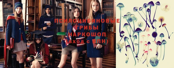мет Краснослободск